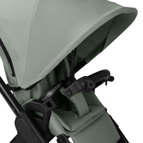 Прогулочная коляска ABC Design Samba 2 Pine